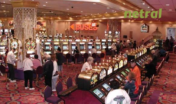 netral Live Casino Tables Built for Indonesia